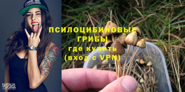 героин Алексин