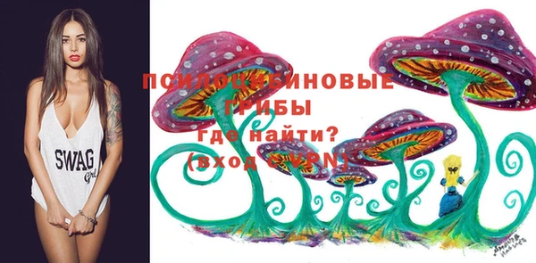 героин Алексин