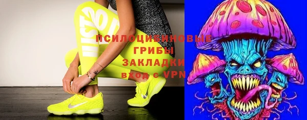 героин Алексин