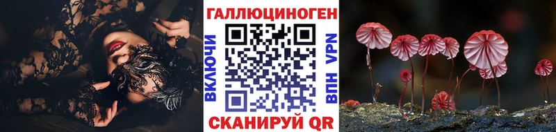 Псилоцибиновые грибы Cubensis  Купить закладки  Заозёрный 